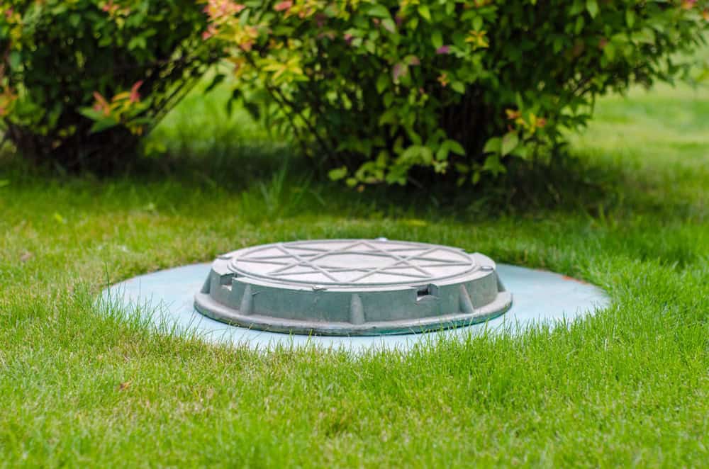 A round green manhole cover is situated in the middle of a grassy lawn, with bushes in the background. The manhole cover, often utilized for access by Cesspool Services Suffolk County, is slightly recessed into the ground and surrounded by well-maintained green grass.