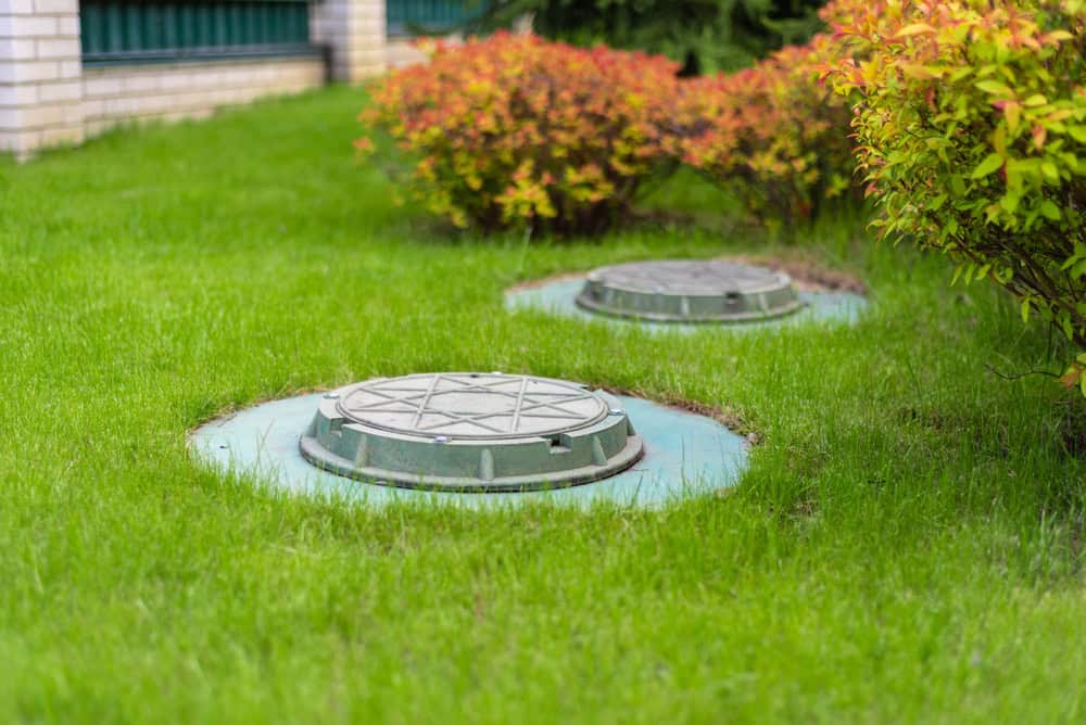 Green lawn with two septic tank covers partially surrounded by well-maintained shrubs with red and orange leaves. The image suggests a clean and managed garden landscape, ideal for showcasing quality Septic Tank Services Suffolk County can rely on.