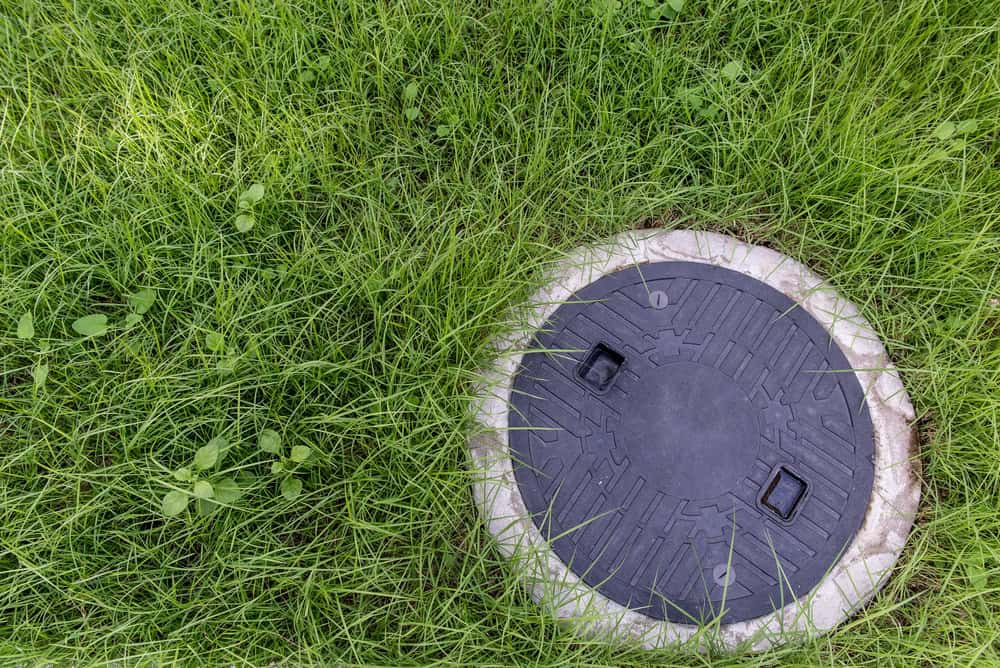 A circular manhole cover is embedded in the ground surrounded by lush, green grass.