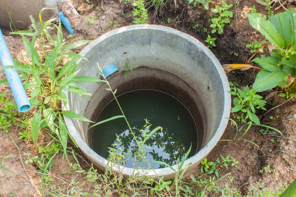 A circular concrete well, partly filled with water, is surrounded by green plants and grass. Blue PVC pipes extend towards the well, resembling those used in a septic tank system, with one pipe entering the well at an angle just above the water level. The area around the well appears earthy and moist.