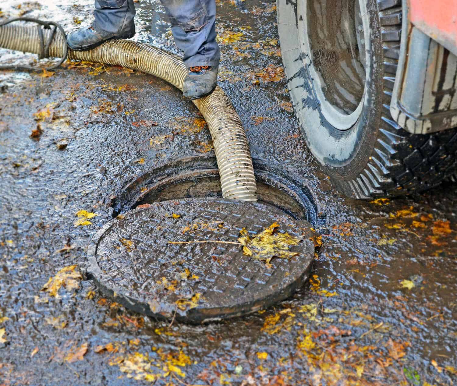 A worker stands near a dirty, partially open manhole cover with a thick hose inserted, next to a large cesspool services Long Island vehicle on wet, muddy ground with scattered leaves.